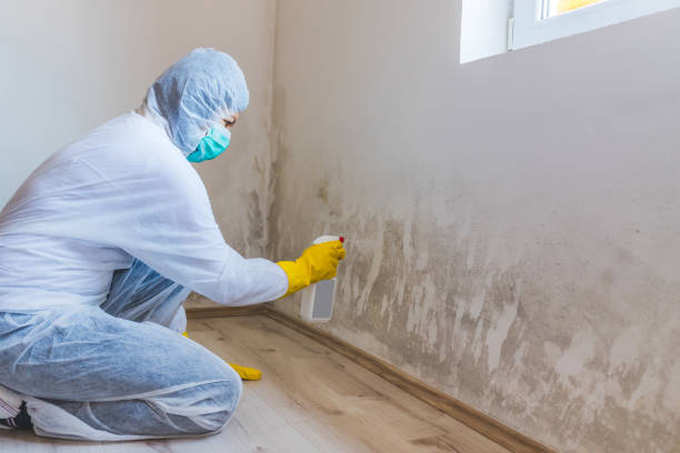 Mold Remediation specialist working in Marriottsville